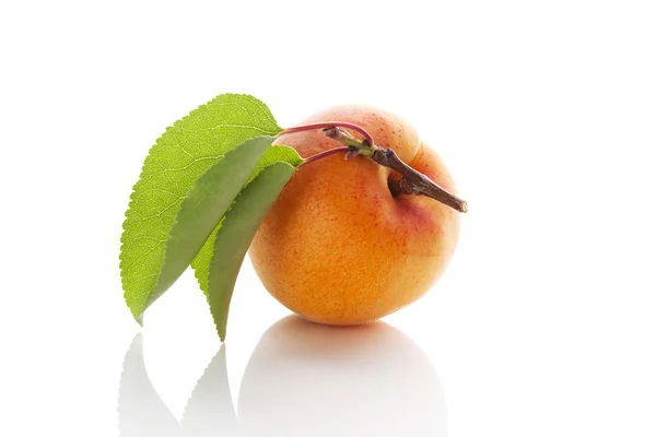 Färsk aprikos. — Stockfoto