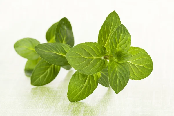 Mint leaves on green background. — Stock Photo, Image