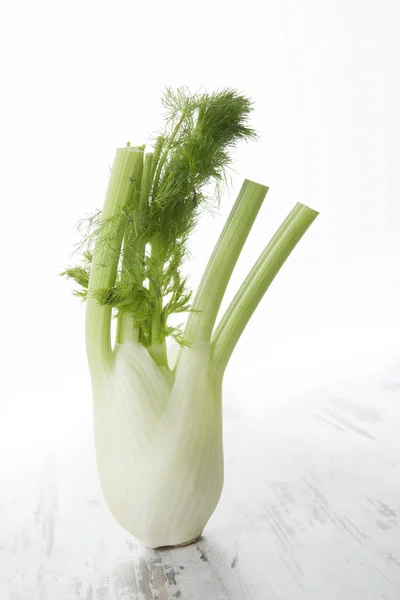 Fenchel isoliert über Weiß. — Stockfoto