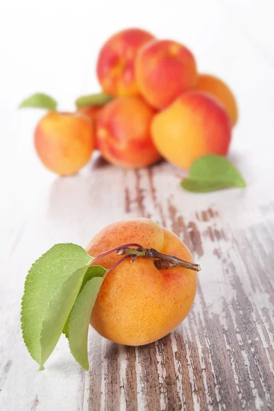 Zralé meruňky. — Stock fotografie
