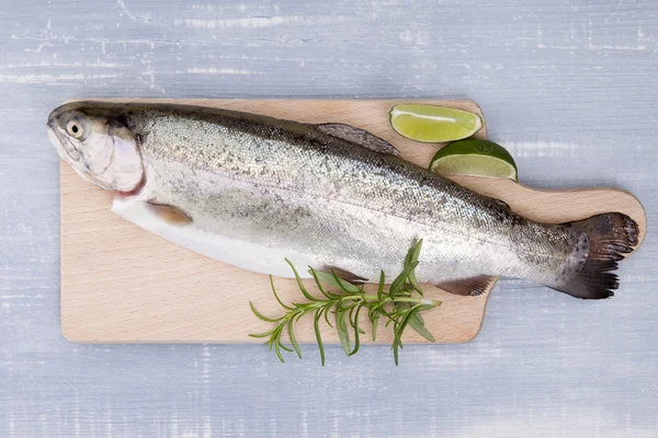 Verse forel. — Stockfoto