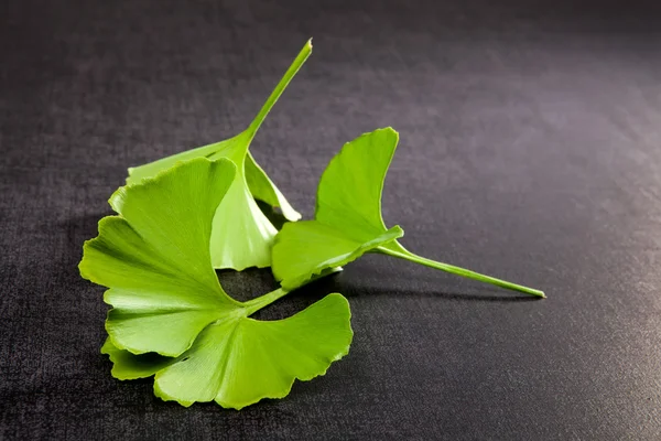 Ginkgo leaves. — Stock Photo, Image