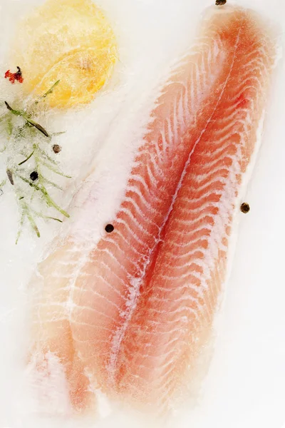 Fiskfilé. — Stockfoto