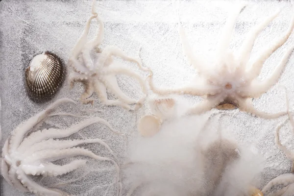 Fundal de fructe de mare congelate . — Fotografie, imagine de stoc