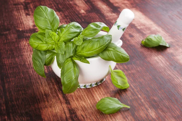 Fresh herbs. — Stock Photo, Image