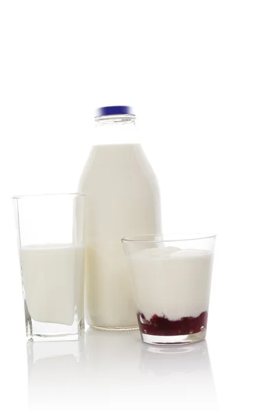 Productos lácteos. — Foto de Stock