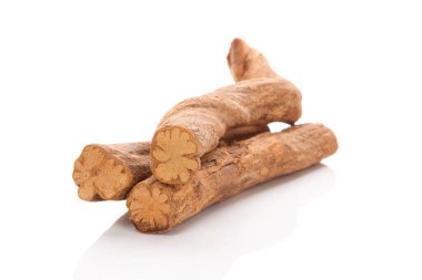 Ayahuasca sarmaşığı. Banisteriopsis caapi ağacı beyaz arka planda izole edilmiş. Şamanik bitki ilacı. Alternatif terapi. Entheogen.