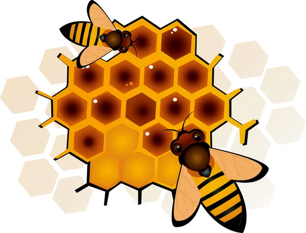 Dos abejas en panal — Vector de stock