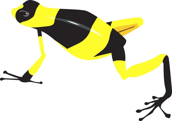 Sapo amarillo y negro — Vector de stock