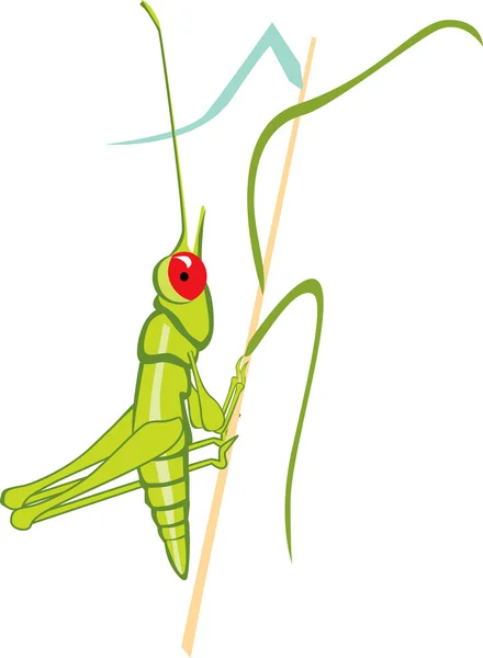 Saltamontes — Vector de stock