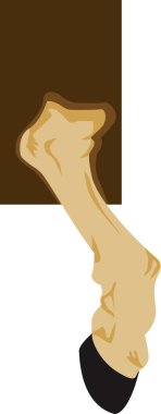 bir at güçlü bacak