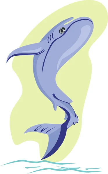 Delfín — Stockový vektor