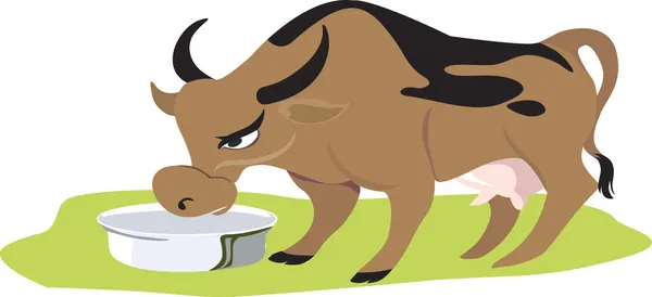 Cow feeding from vessel — Stock Vector