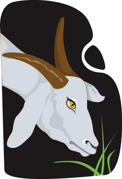 Goat eating grass. — Stock Vector