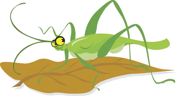 Grasshopper — Stock Vector