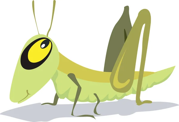 Grasshopper — Stock Vector