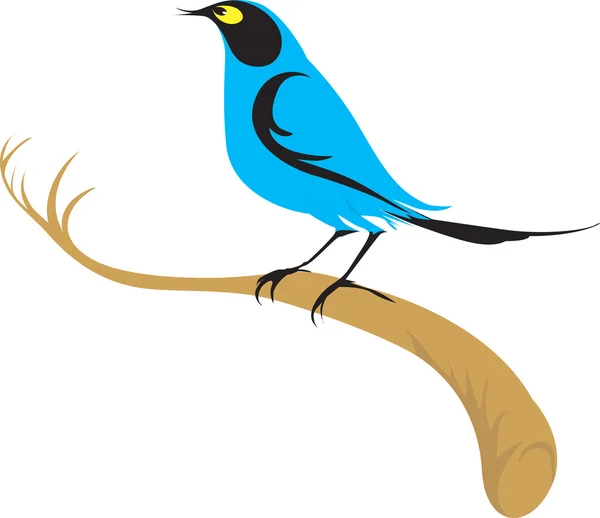 Pájaro de color azul — Vector de stock