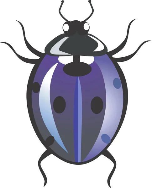 Spotted beetle — Stock Vector