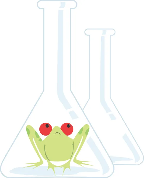 Žába sedí uvnitř sklo — Stockový vektor