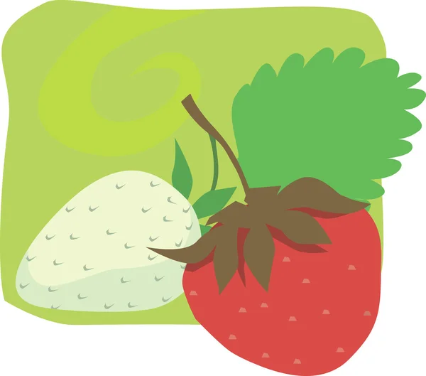 Strawberry ripe and raw — Stock Vector