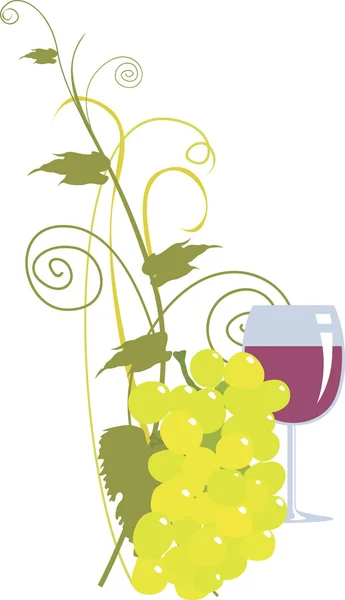 Grape and wine — Stock Vector