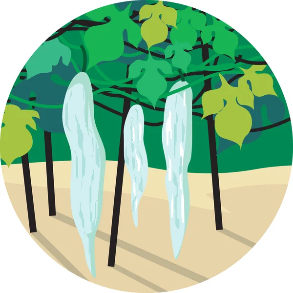 Haricots à feuilles — Image vectorielle