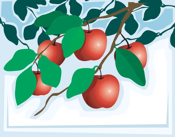 Maçãs na árvore de maçã — Vetor de Stock