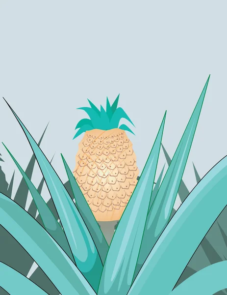 Pineapple in the farm — Stock Vector