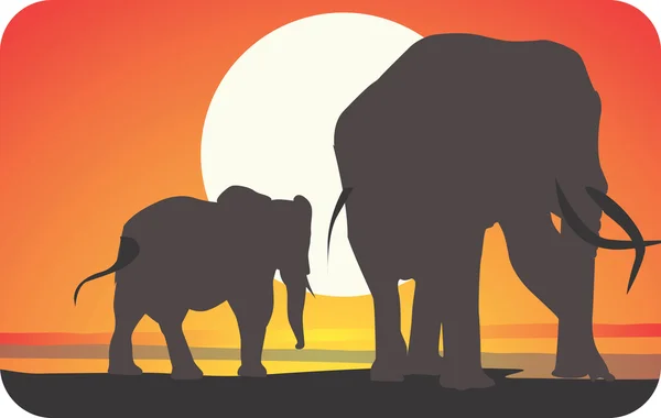 Éléphants au coucher du soleil — Image vectorielle