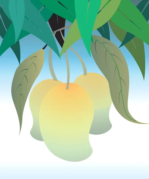 Mangos en árbol de mango — Vector de stock