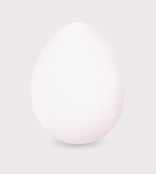 White egg — Stock Vector