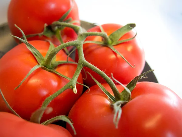 Vine Ripened Tomatoes — Stock Photo, Image