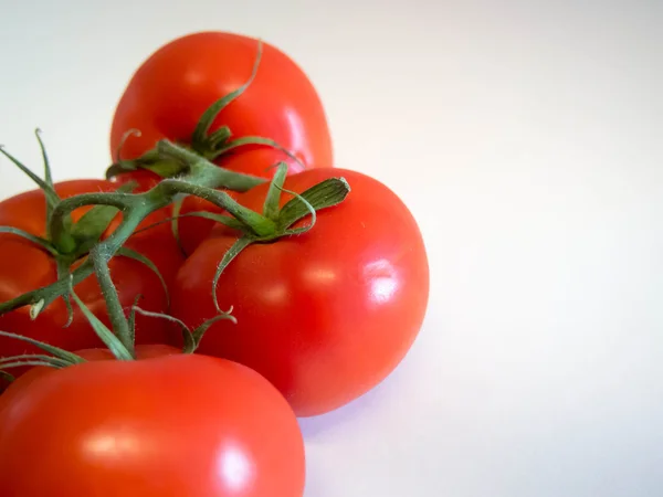 Vine Ripened Tomatoes — Stock Photo, Image