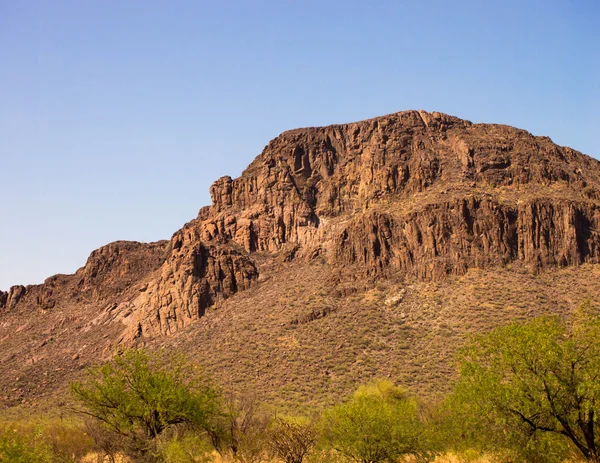 Sonoran woestijn landschap — Stockfoto