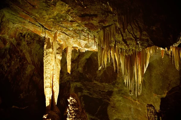 Lucas Cave, The Jenolan Caves in Australia — Stock Photo, Image