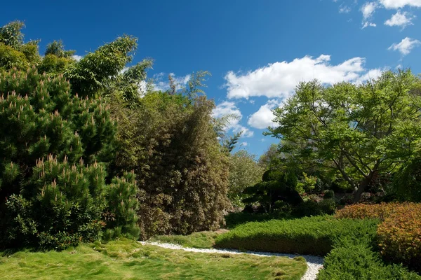 Cazador valle jardines — Foto de Stock