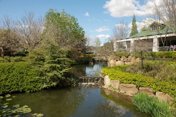 Hunter Valley Gardens — Stock Photo, Image