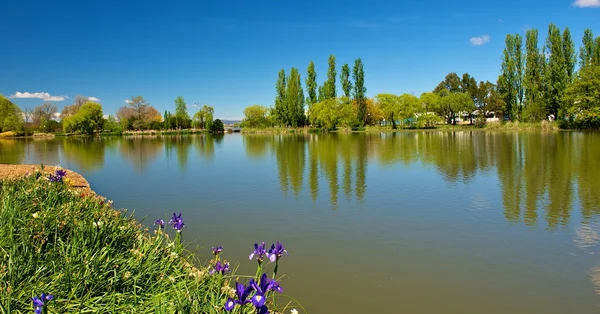 Picturesque lake — Stock Photo, Image