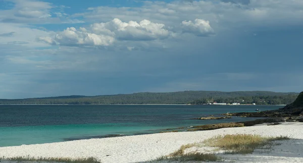 Tasmania mare — Foto Stock