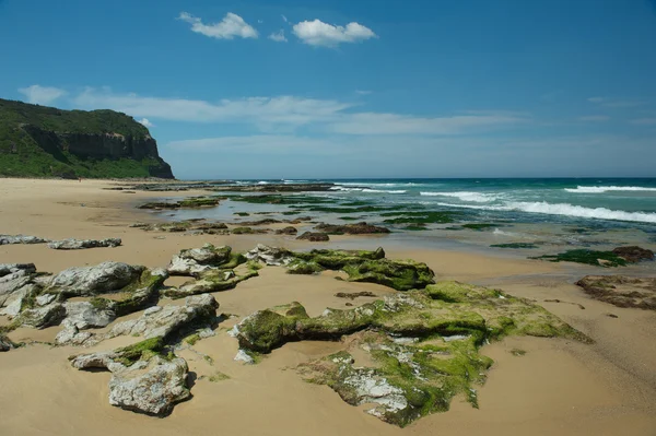 Stenig strand — Stockfoto