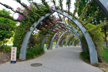 Botanical garden in Brisbane clipart