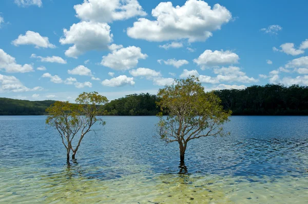 Jezioro Mckenzie — Zdjęcie stockowe