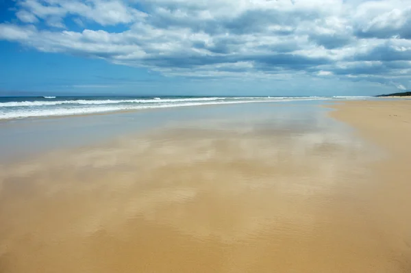 Mar da Tasmânia — Fotografia de Stock