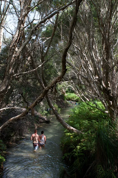 Homens na floresta tropical — Fotografia de Stock