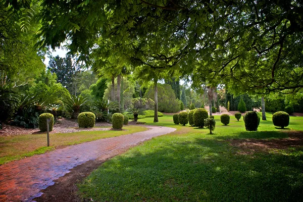 Trail in park — Stockfoto