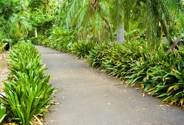 Koninklijke Botanische tuin — Stockfoto