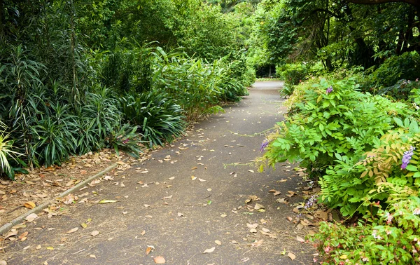 Real Jardín Botánico — Foto de Stock