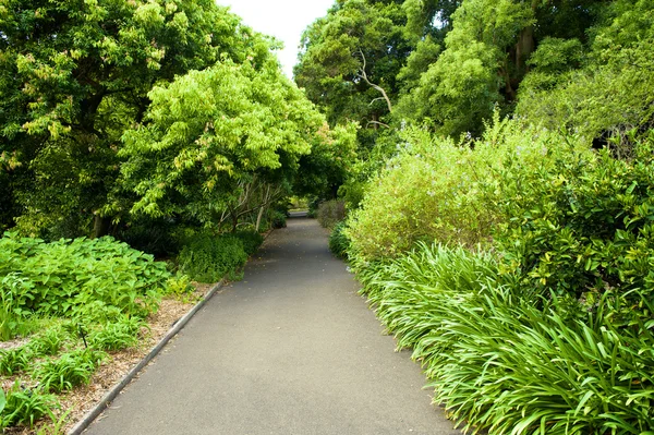 Koninklijke Botanische tuin — Stockfoto