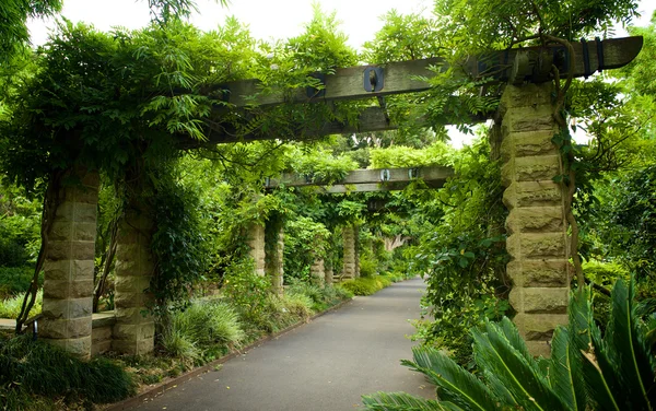 Trail in park — Stockfoto