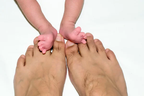 Padre y pies de bebé Fotos de stock